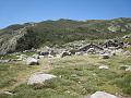 Les Pozzi