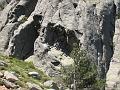 Aiguilles de Bavella