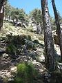 Aiguilles de Bavella